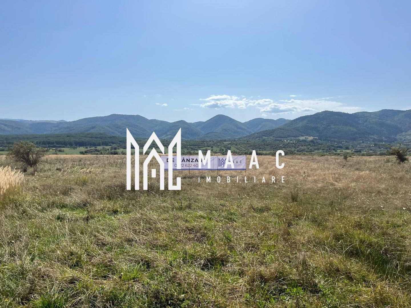 Teren extravilan | 7.800 mp | Saliste - Poză 1