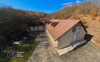 Proprietate pretabila pentru afacere, Cladova - Poză 20