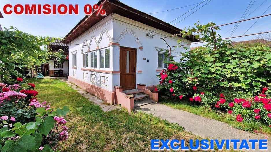 AZURA Imobiliare - Casa Merisani zona Primarie, Panouri fotovoltaice - Poză 33