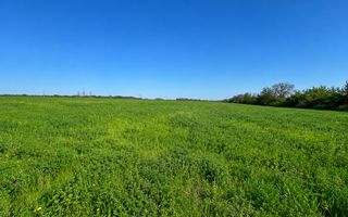 Teren agricol de 40 ari în Ghidighici – oportunitate pentru investiție sau activitate agricolă - Poză 4