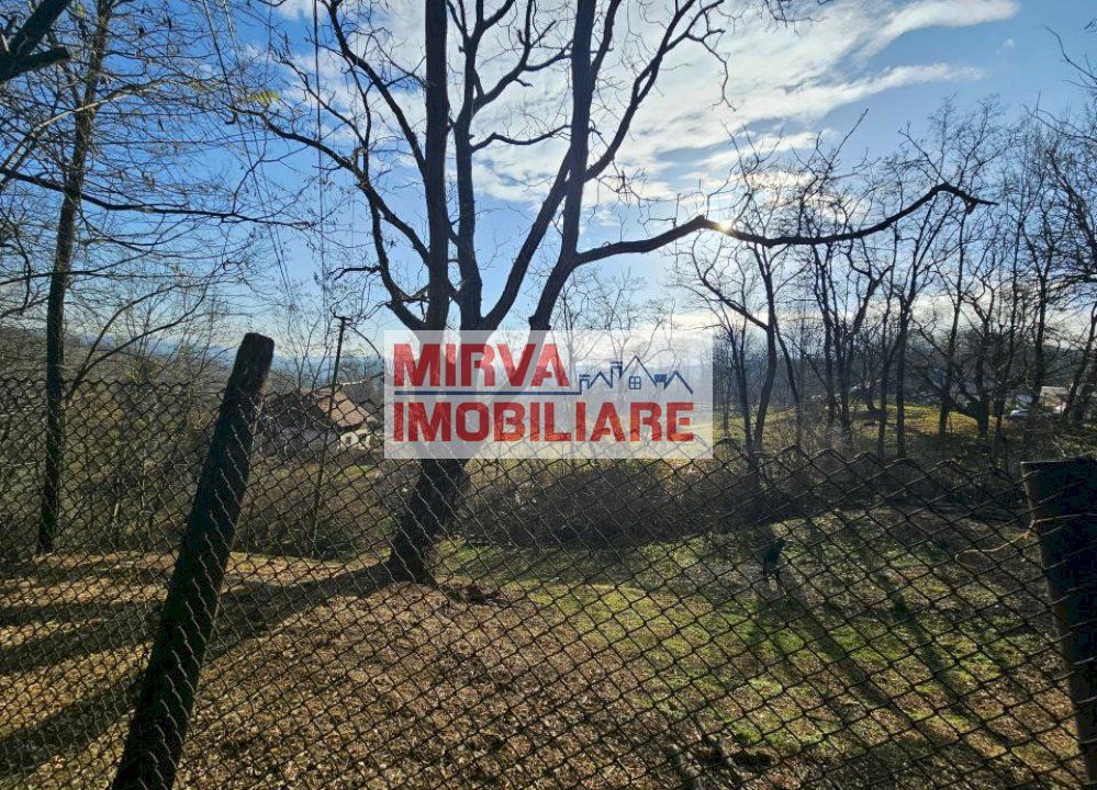 Vanzare casa plus anexa, teren 3843 mp, in Sat Pietriceaua - Poză 17