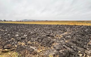 Teren 24 Ari | Horodnic de Sus | Front 15 m - Poză 4