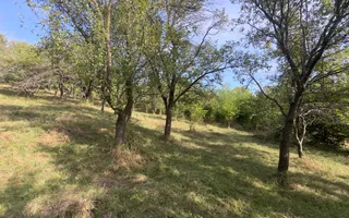 CASA 3 CAMERE TEREN 7770 MP BOTENI ARGEȘ - Poză 38