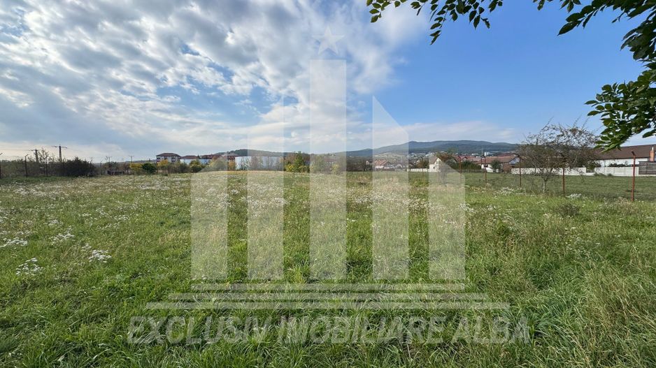 Teren intravilan de vanzare, Cetate - Poză 3