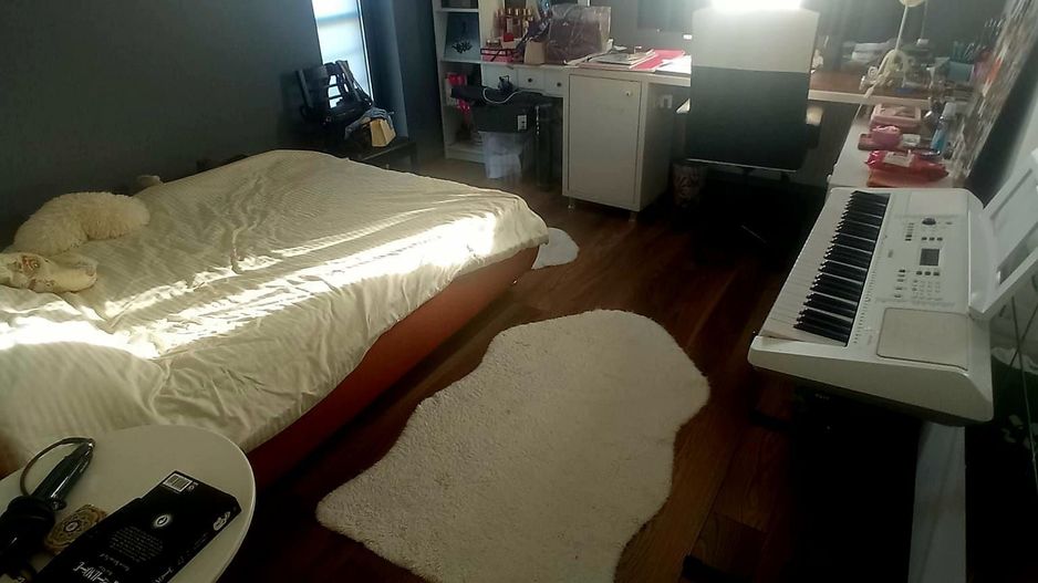 CASA TIP DUPLEX OLTENI, TOATE UTILITATILE, FOSA CU PUT, COMISION 0% - Poză 17