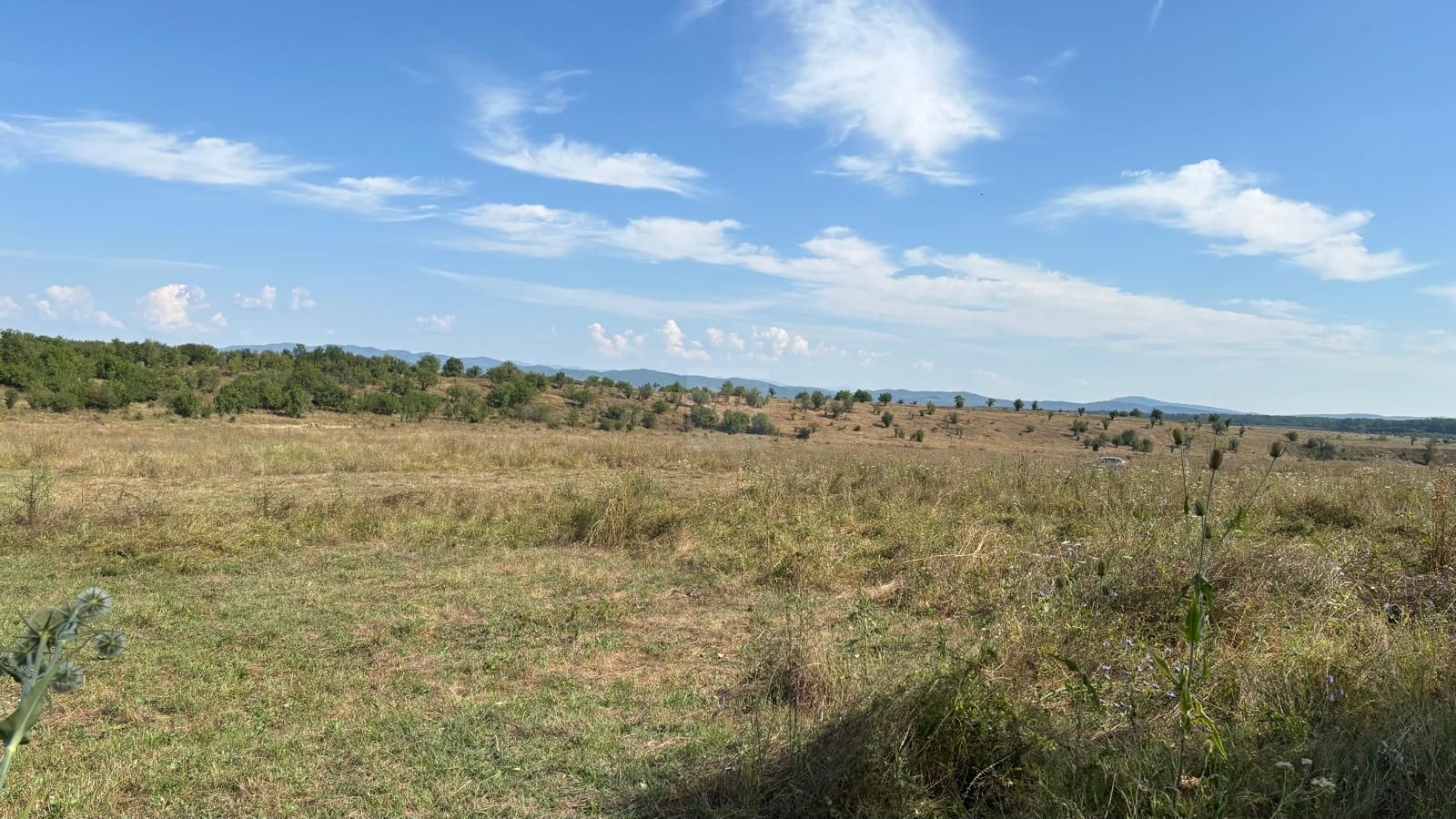 Teren intravilan langa padure - Poză 2