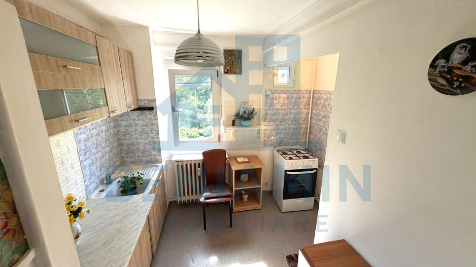 2 camere semidecomandat Brazda lui Novac - Pedagogic -teava -52mp - Poză 5