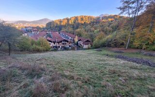 Teren intravilan Brasov Strada Ciresului 2900 mp - Poză 4