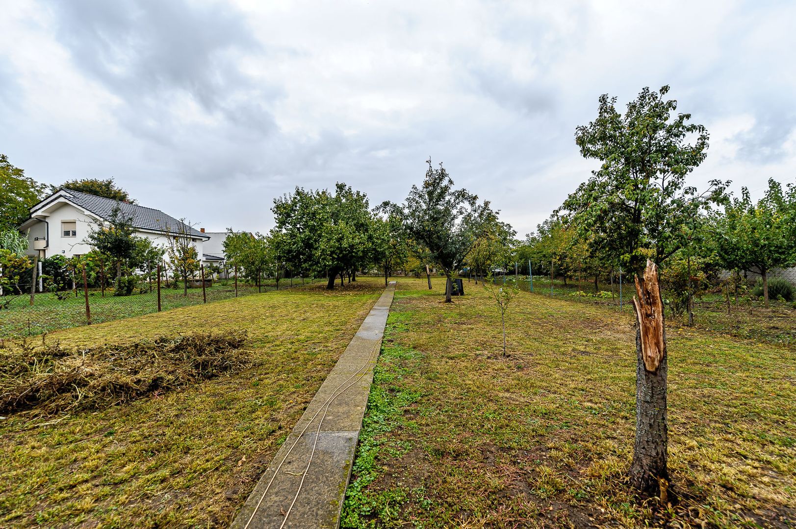 Casă cu teren de 1440 mp, Aradul Nou - Poză 5