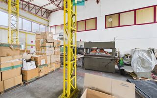 Hală de producție, cu birouri și teren, în Sebiș - Poză 68