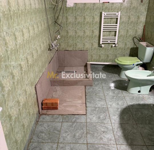De vanzare proprietate Podari – 2 hale industriale + casa și spatiu recreativ - Poză 22