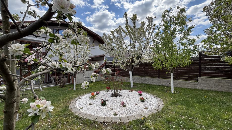 Casa 5 camere pretabila pentru locuit si sediu firma - C. Arhitectilor - Poză 2