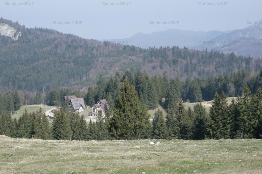 VALEA DOFTANEI - Traisteni, langa Conacul Dascalu, vanzare 2.537 mp. teren - Poză 1