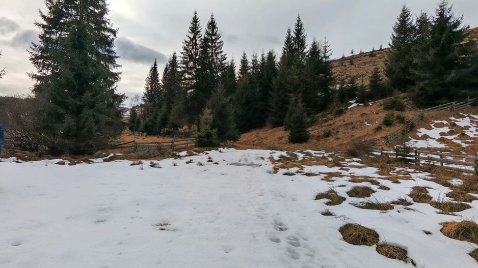 7.858 mp Teren Rar cu Pârâu și Izvoare, Beliș-Fântânele, Cluj - Poză 1