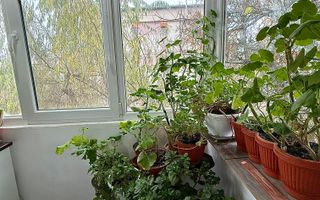 Apartament 2 camere/de vanzare/Calea Severinului - Poză 14