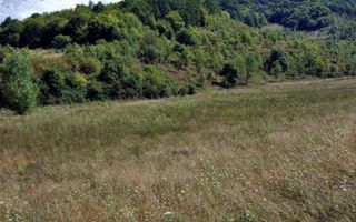 TEREN 30.000 MP (3 HA) – VIILE DEJULUI, CLUJ – 7 €/MP – VÂNZARE RAPIDĂ - Poză 3