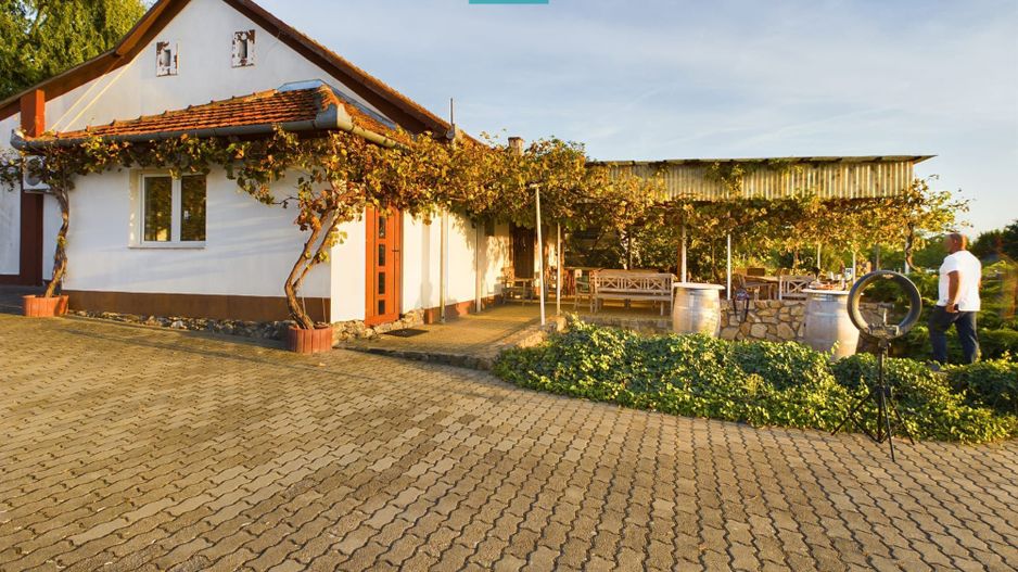 Spațiu comercial - Crama Pivnițele Birăuaș - Poză 36