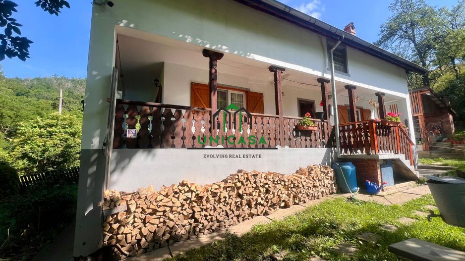Casa cu teren generos 2919 mp/ Sat Andreesti / Comuna Mueresca - Poză 1
