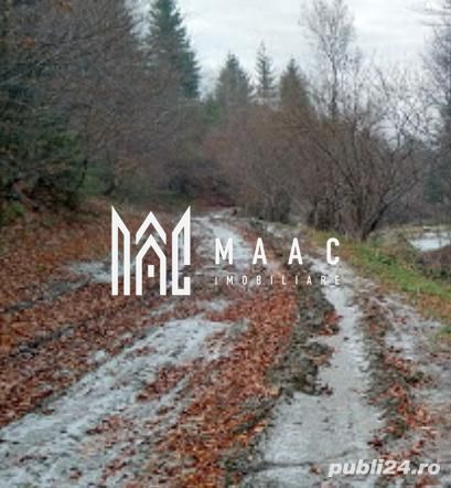 Oportunități de Investiție în Terenuri Sebesul de Sus - Poză 2