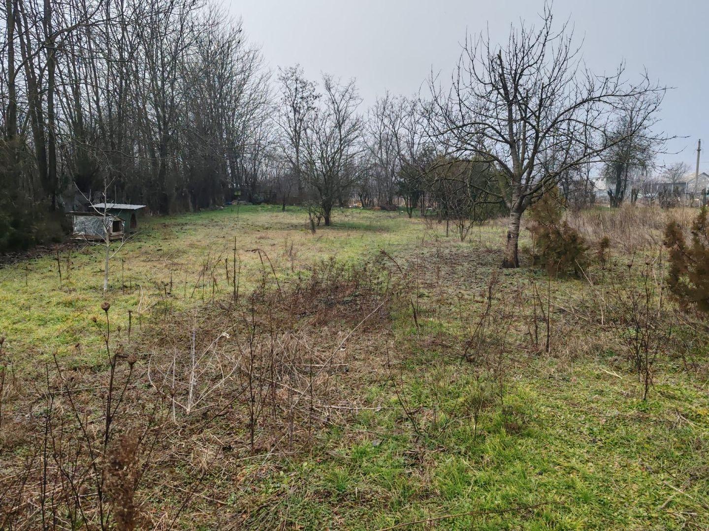 Teren 2.600 mp, utilități, Str. Merișor – Giurgiu - Poză 6