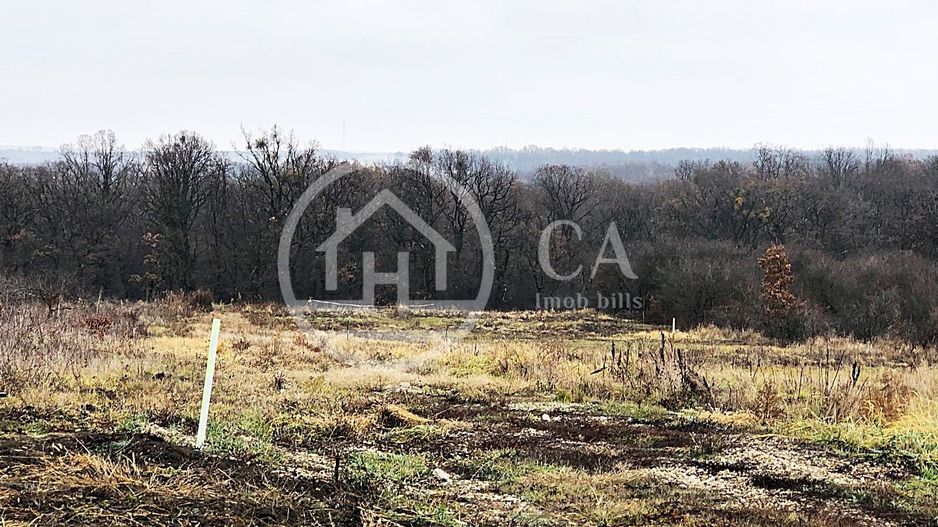 Teren intravilan de vânzare pe strada Izvorului, zona Saldabagiu - Poză 1