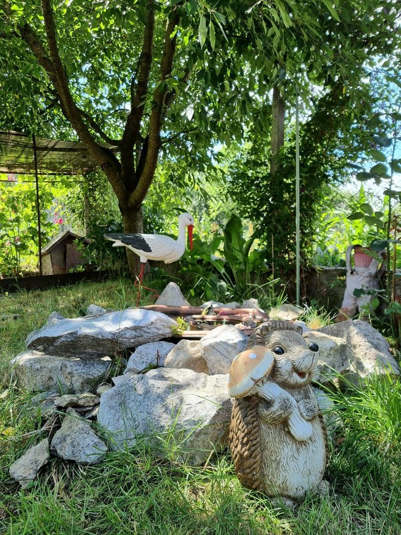 CASA+TEREN, ZONA SUD - Poză 21