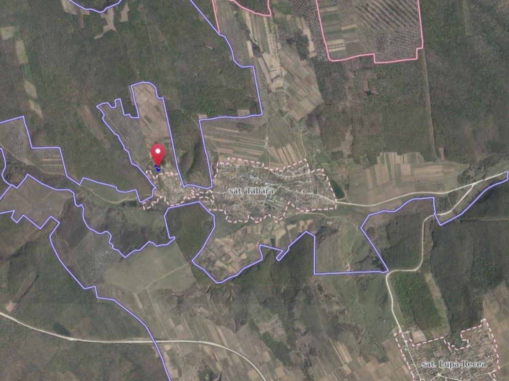 Tabăra/Orhei | 11,62 ari | Teren în inima Codrilor – Ideal pentru evadare în natură sau investiție - Poză 10