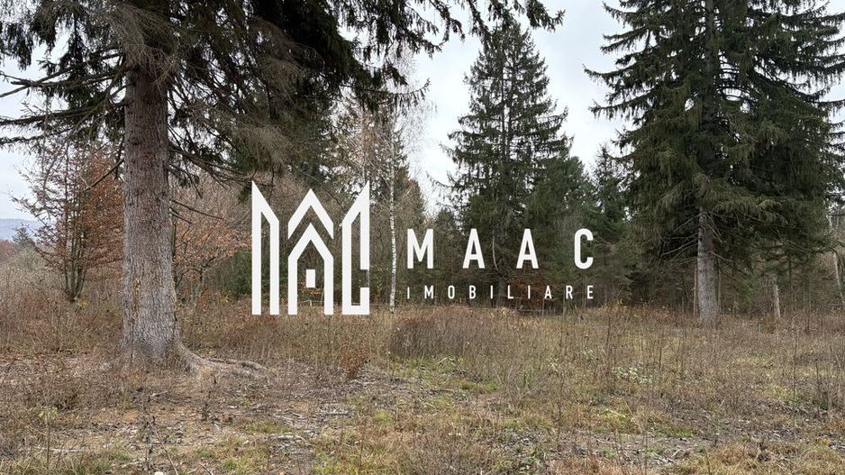 Teren intravilan | 2.000 mp |  Valea Avrigului - Poză 1