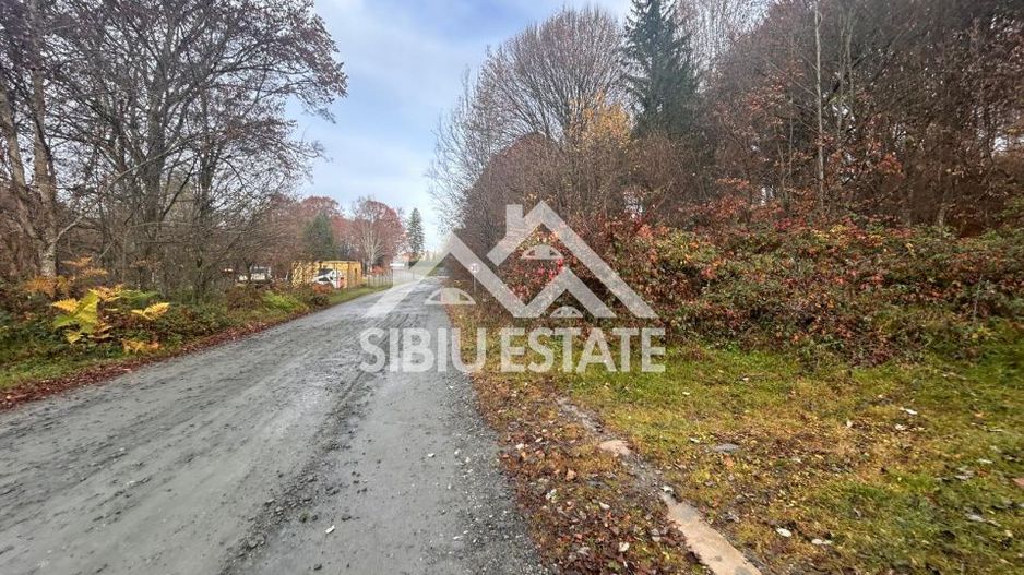 Oportunitate de investiție – Teren pentru hotel / pensiune pe Valea Avrigului - Poză 10