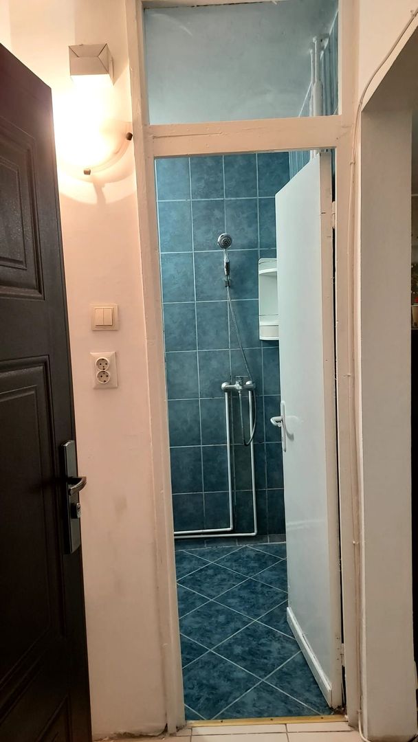 Calea Buziasului | Etaj 1 | Mobilat si utilat | Bucatarie inchisa - Poză 8