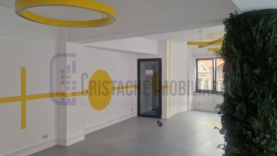 Vila P+2, suprafata 380 mp, Principatele Unite, Piata Unirii - Poză 12