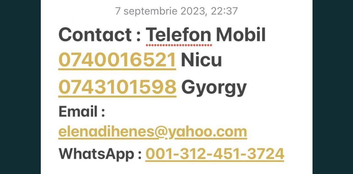 Ocazie Unica-2 Case+1 loc teren - Poză 2