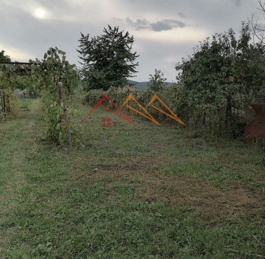 Casa rustica 3 camere, 4000 mp teren, cabana din lemn, pomi fructiferi - Poză 16