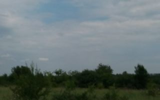 Teren Buftea cu iesire la lac - Poză 20