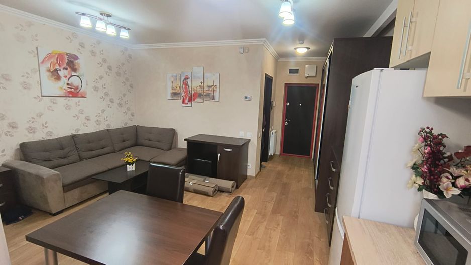 Apartament ARED cu 1 camera, St. O. Iosif, Oradea, 300 euro/luna - Poză 5