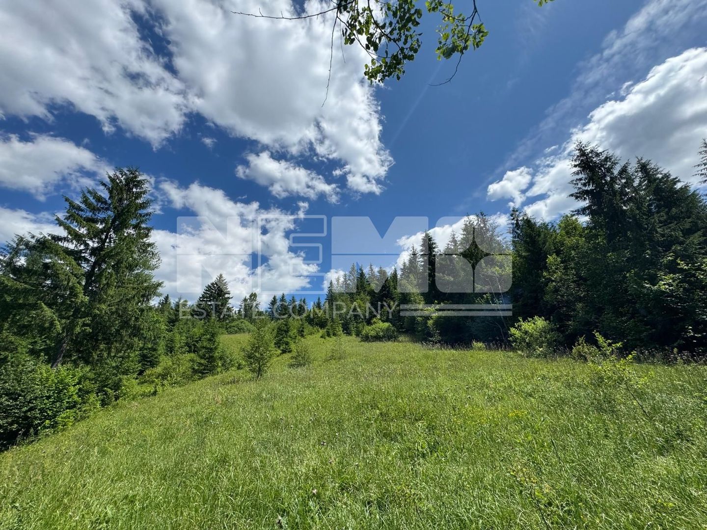 TEREN EXTRAVILAN DE VANZARE | CAMPULUNG MOLDOVENESC | 258.720€ - Poză 3