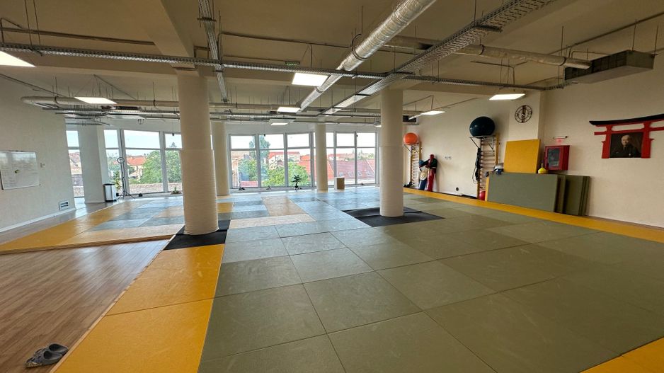 Spatiu de birou cu terasa de 295 mp - Poză 5