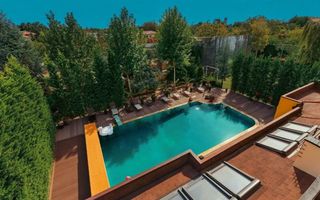 Vila grandioasa, Gradina Japoneza, SPA, Crama, Teren Tenis, Foisor, Iaz Pesti - Poză 9