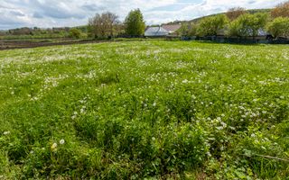 Teren intravilan Blăgești, Bacău - Poză 8