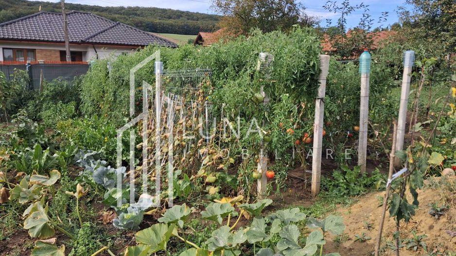 Teren intravilan, 938 mp, zona Remetea - Poză 6