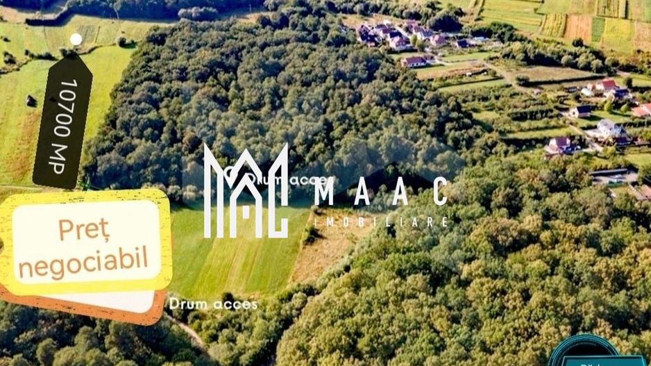 Teren extravilan I Parcelare I Rasinari - Poză 3
