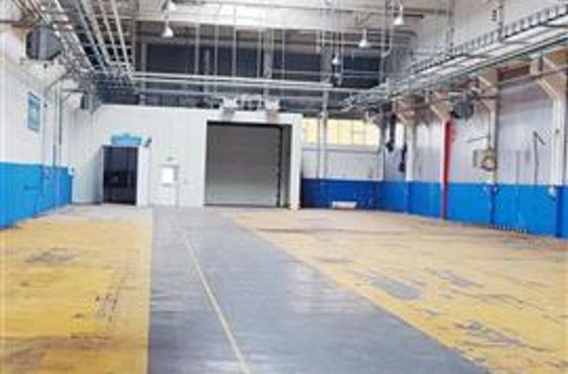 hale in parcul Roman sau tractorul - Poză 2