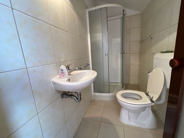 Casa deosebita 4 dormitoare ultracentral Lugoj - Poză 38