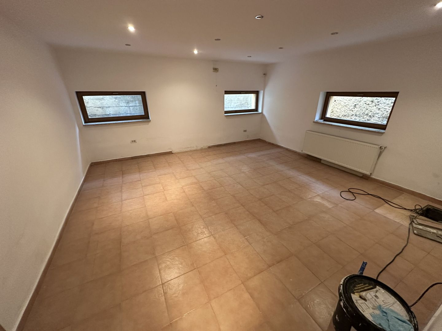 Proprietate cu piscina Dumbravita - Poză 35