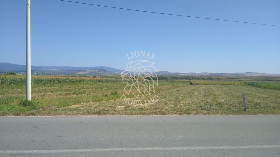 Teren 2000 mp-ideal cabana, agricultura, investitie - Jelna - Poză 1