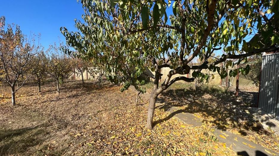 Casa individuala cu gradina si teren la DN1 Bucuresti-Ploiesti - Poză 12