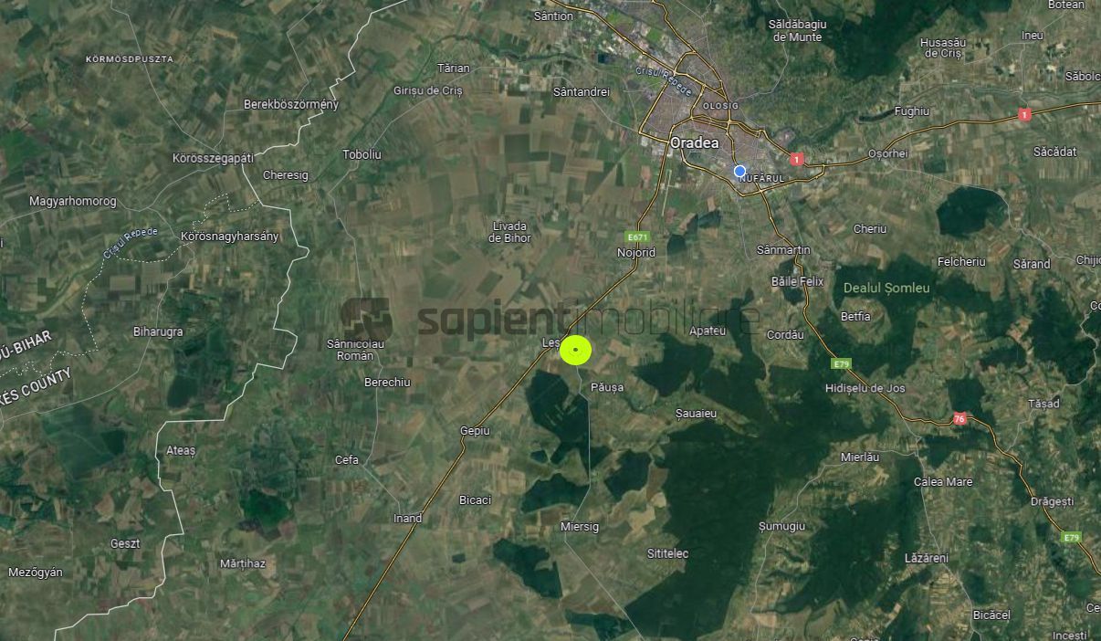 SAPIENT IMOBILIARE - DE VÂNZARE CASĂ 7 CAMERE (LA ROȘU) LOC. LEȘ - Poză 7