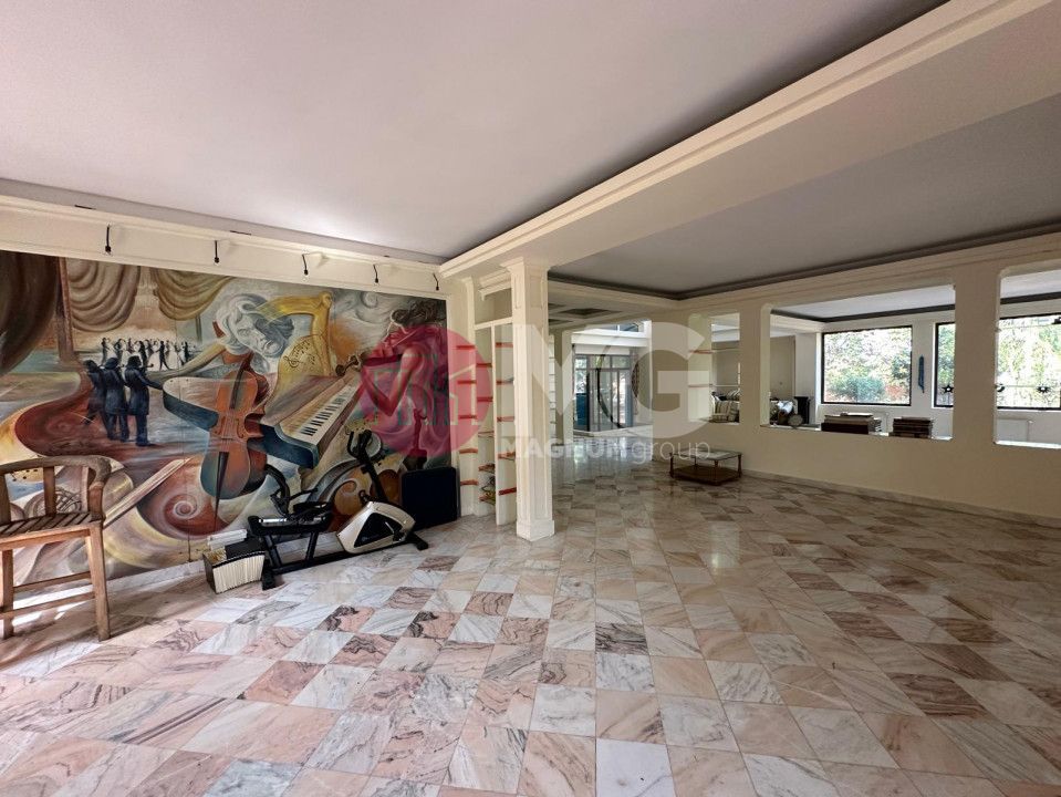 Vila de vanzare Pipera- Drumul Negru - 2500 mp teren - Poză 4