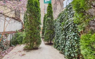 Apartament spațios în clădire ultracentrală - Poză 12