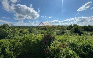 Teren intravilan 20280 mp, oportunitate investitie, Gageni, Prahova - Poză 5